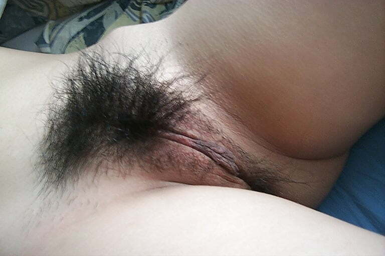 Hairy asian pussies 3