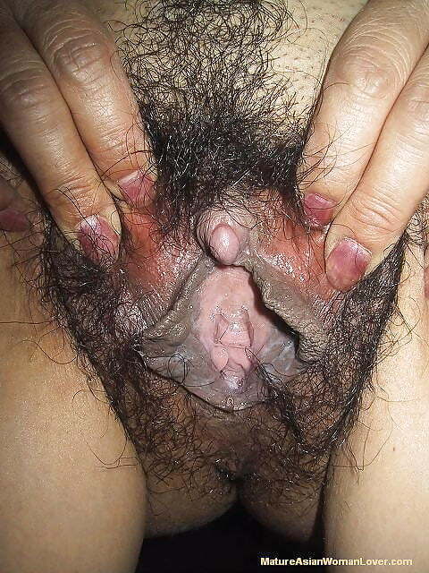 Hairy asian pussies