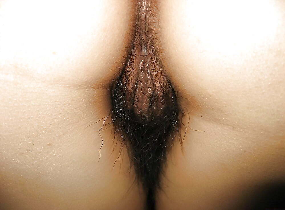 Hairy asian pussies 4